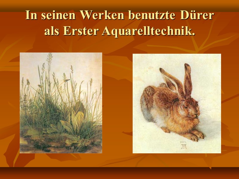 In seinen Werken benutzte Dürer  als Erster Aquarelltechnik.